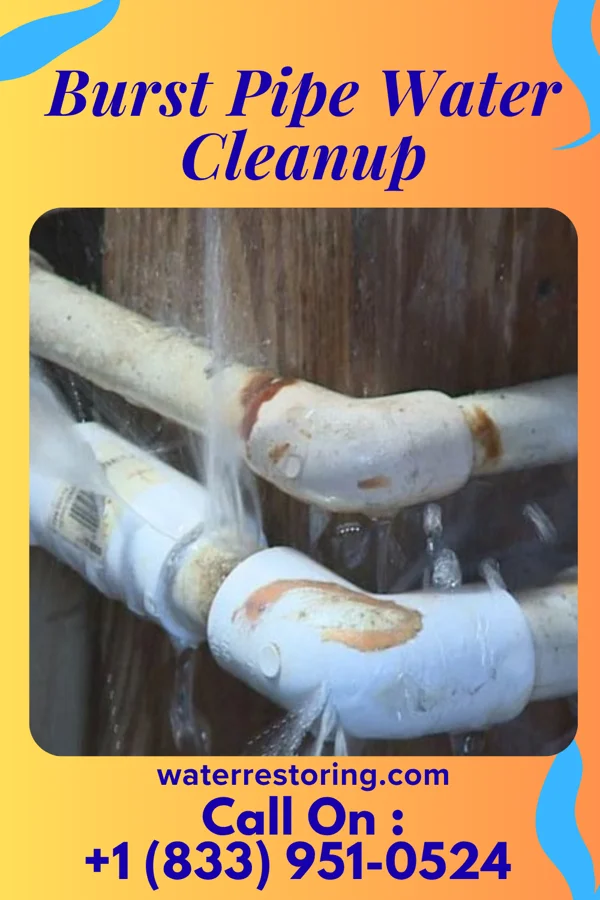 Burst Pipe Water Cleanup in Bagtown, MD