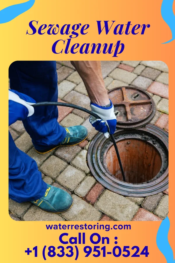 Sewage Water Cleanup in Bagtown, MD