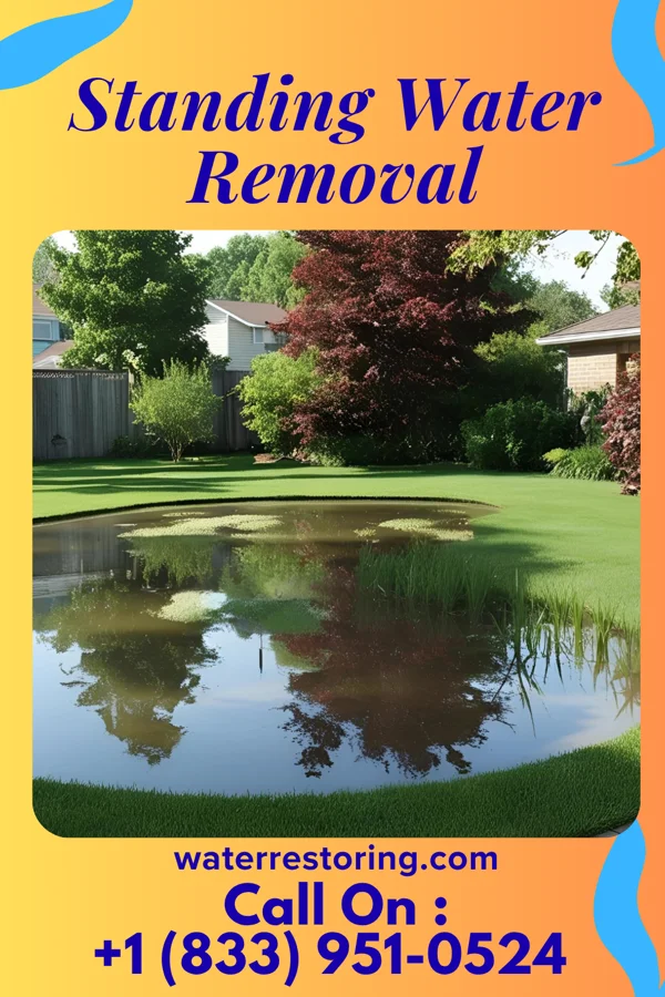 Standing Water Removal in Bagtown, MD
